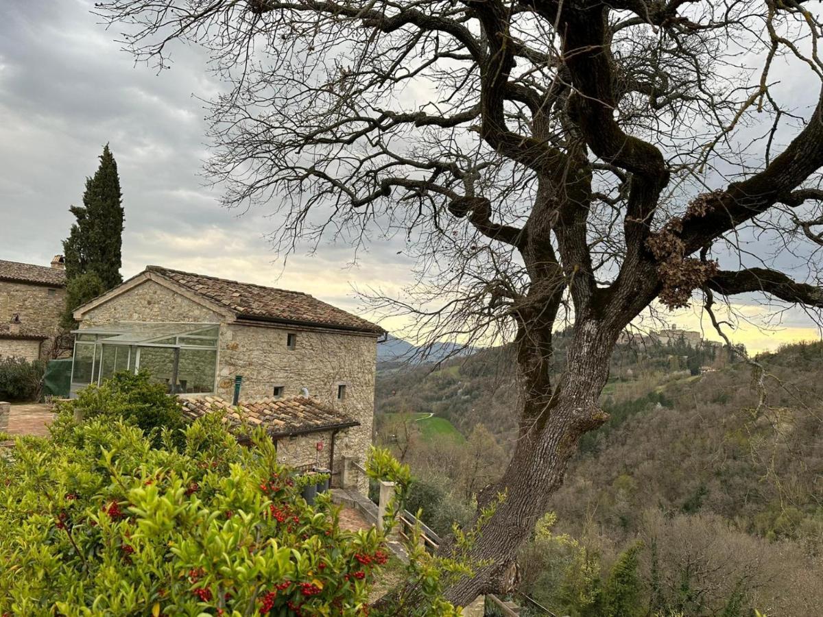 Borgo Cardaneto Bed & Breakfast Montone  Dış mekan fotoğraf