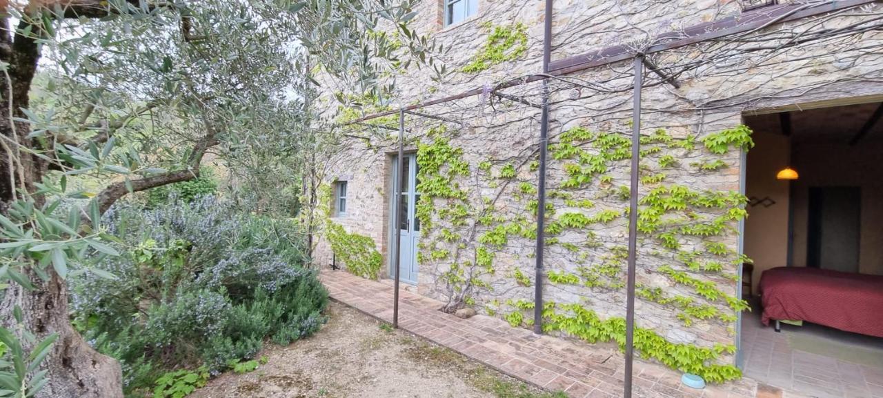 Borgo Cardaneto Bed & Breakfast Montone  Dış mekan fotoğraf