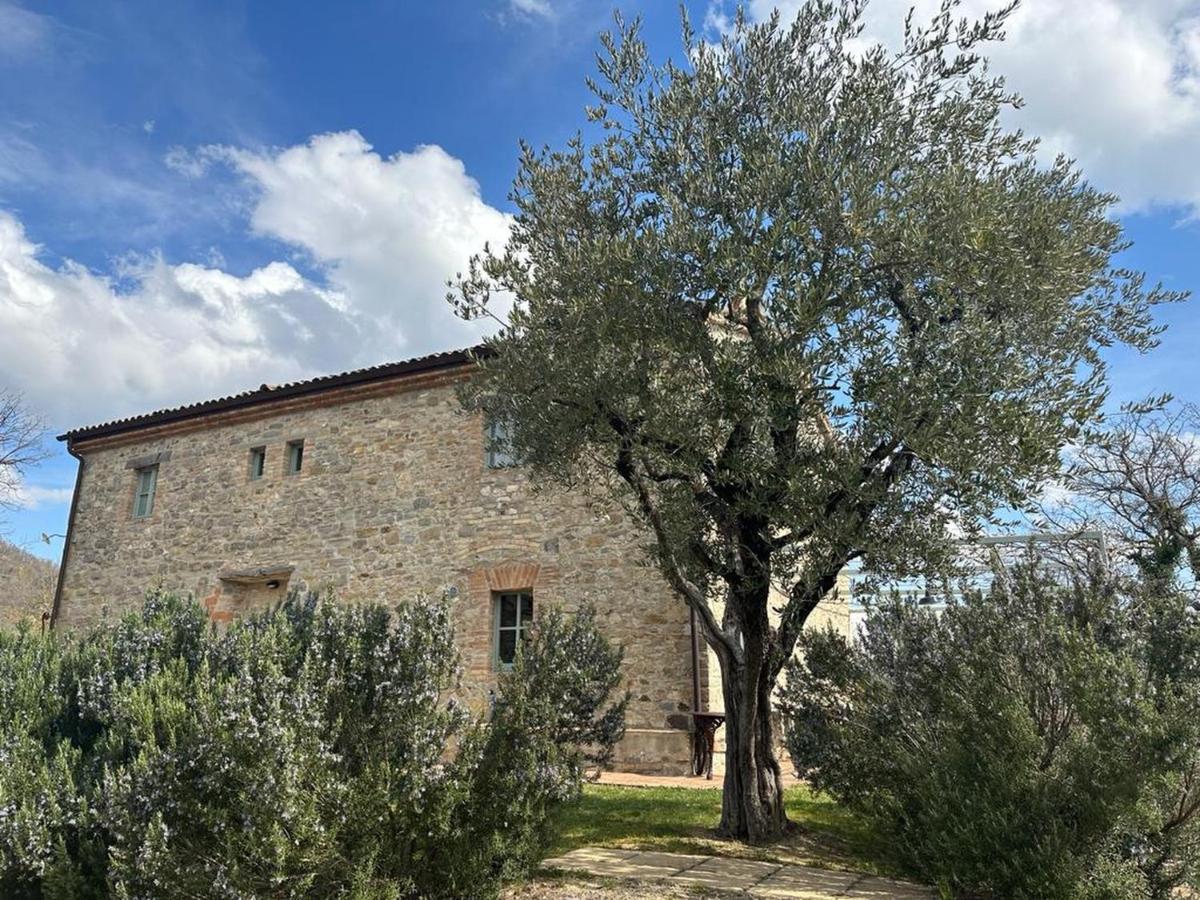 Borgo Cardaneto Bed & Breakfast Montone  Dış mekan fotoğraf