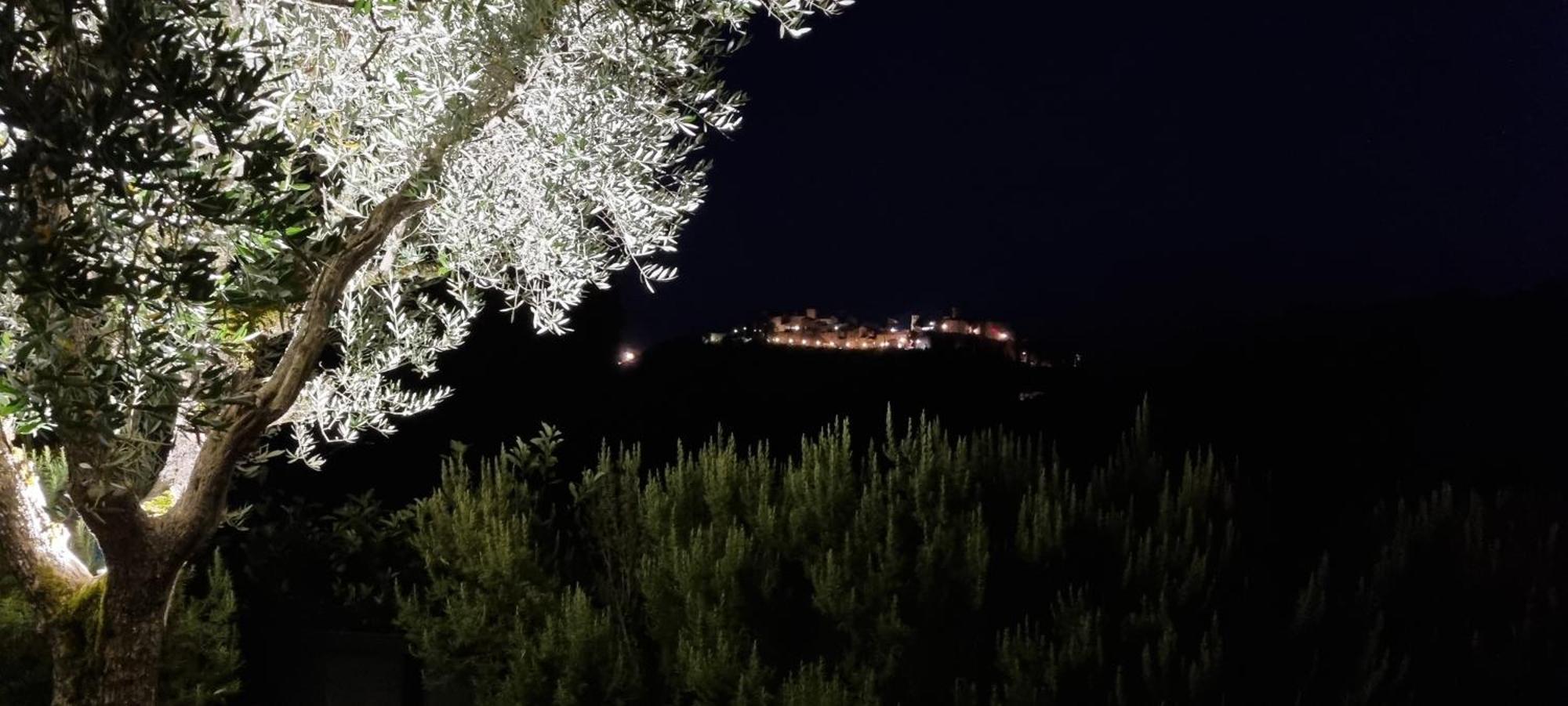 Borgo Cardaneto Bed & Breakfast Montone  Dış mekan fotoğraf