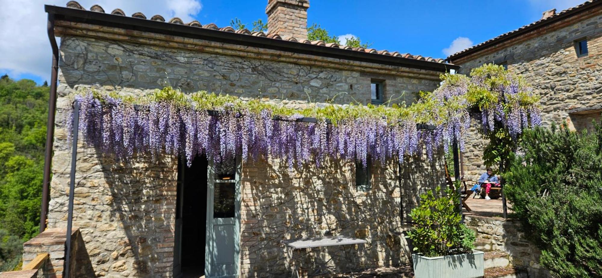 Borgo Cardaneto Bed & Breakfast Montone  Dış mekan fotoğraf