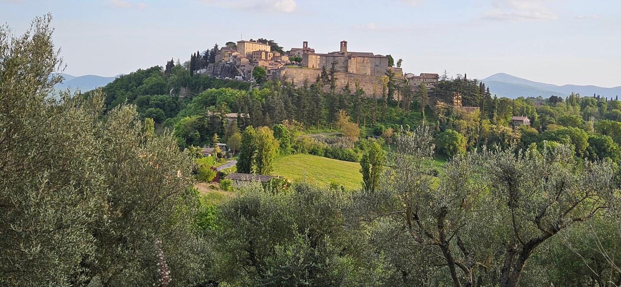 Borgo Cardaneto Bed & Breakfast Montone  Dış mekan fotoğraf